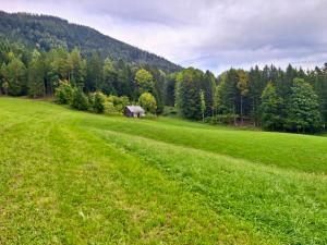 Das Sacherl in Vorderstoder Berghtte Vorderstoder
