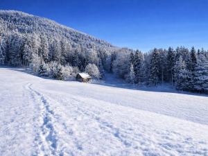 Das Sacherl in Vorderstoder Bergh�tte Vorderstoder