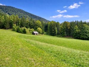 Das Sacherl in Vorderstoder Bergh�tte Vorderstoder