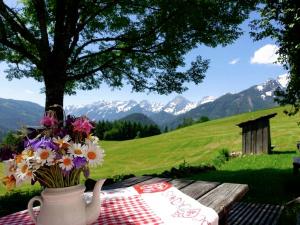Das Sacherl in Vorderstoder Bergh�tte Vorderstoder