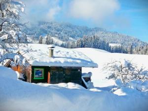 Panoramahtte Hopfgarten im Brixental Httenurlaub Panoramahtte Hopfgarten Brixental