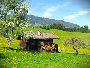 Panoramah�tte Hopfgarten im Brixental ... Panoramah�tte Hopfgarten im Brixental