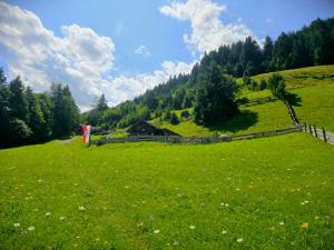 Edelwei�h�tte in Tirol Edelwei�h�tte