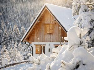 Bergchalet Bacher �stliche Karawanken Bergchalet mieten