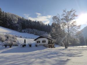 Jagdhaus im Dirndltal 