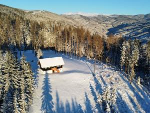 Auerhahnhtte in der Sdsteiermark Htte Sdsteiermark