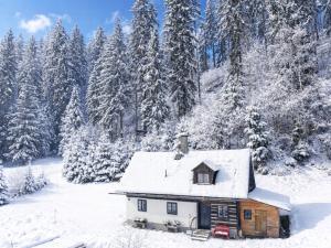 Stubenrauchh�tte am Kletschachbach ... H�tte am Bach