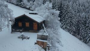 Himmelbauerh�tte in der Obersteiermark  Himmelbauerhuette Obersteiermark