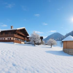 Knollnhof im Alpbachtal Bauernhaus Alpbachtal 