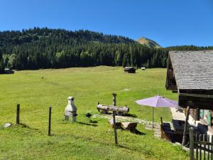 Irlbachalm auf der Postalm Postalm