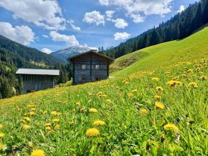 Heubodenhtte Tuxer Alpen Heubodenhtte