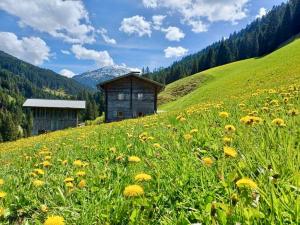 Heubodenh�tte Tuxer Alpen Heubodenh�tte