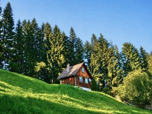 Leos Urlaubsh�tte Packer See Urlaubsh�tte Packer See  