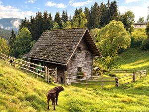 Alte M�hle in der Waldheimat alte muehle mieten