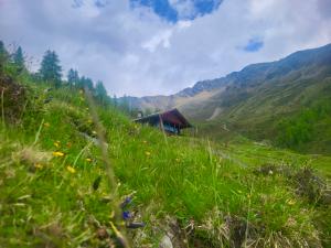 Waldhuber Kaser Lienzer Dolomiten Waldhuber Kaser